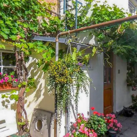 Socolowsky * Bad Sulze