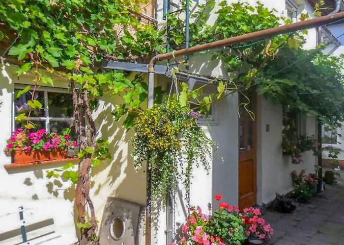 Socolowsky * Bad Sulze